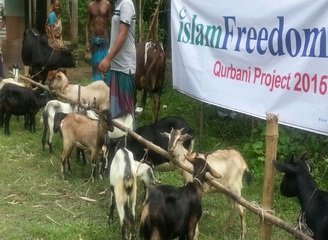 Islam Freedom Qurbani
