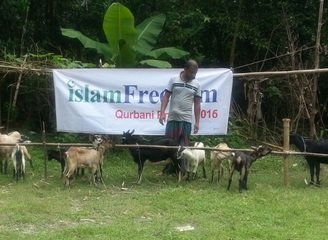 Islam Freedom Qurbani