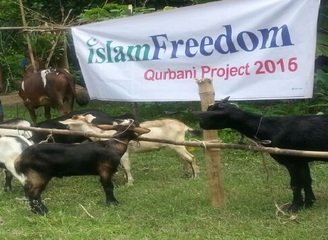 Islam Freedom Qurbani