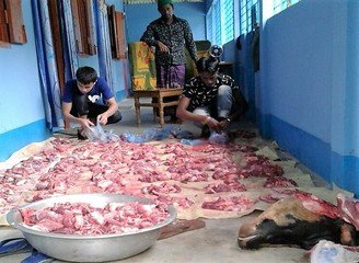 Islam Freedom Qurbani