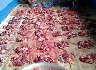 Islam Freedom Qurbani 2016