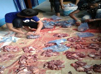 Islam Freedom Qurbani