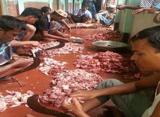 Islam Freedom Qurbani