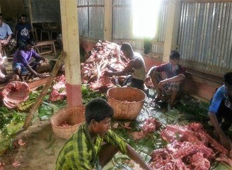 Islam Freedom Qurbani