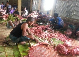 Islam Freedom Qurbani