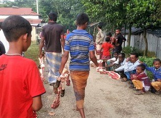 Islam Freedom Qurbani