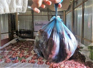 Islam Freedom Qurbani 2016