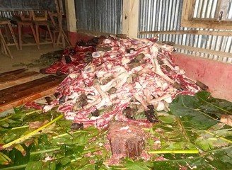 Islam Freedom Qurbani