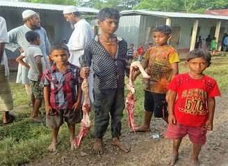 Islam Freedom Qurbani