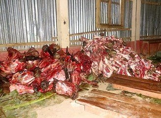 Islam Freedom Qurbani 2016