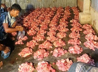 Islam Freedom Qurbani 2016