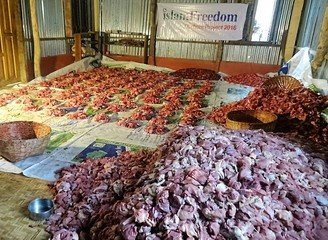 Islam Freedom Qurbani