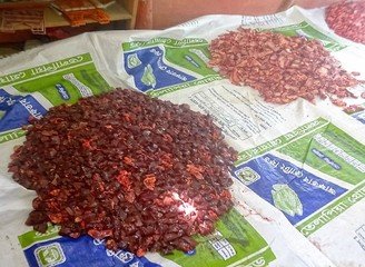 Islam Freedom Qurbani 2016