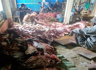 Islam Freedom Qurbani