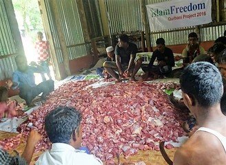 Islam Freedom Qurbani 2016