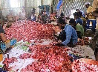 Islam Freedom Qurbani