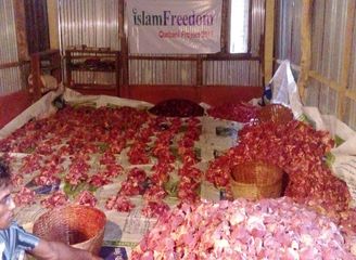 Islam Freedom Qurbani