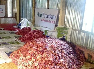 Islam Freedom Qurbani