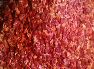 Islam Freedom Qurbani