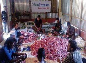 Islam Freedom Qurbani