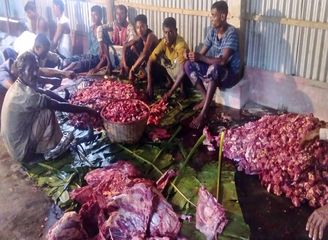 Islam Freedom Qurbani 2016