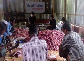 Islam Freedom Qurbani