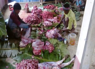 Islam Freedom Qurbani 2016