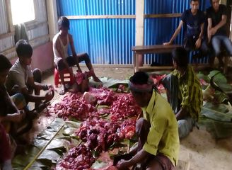 Islam Freedom Qurbani