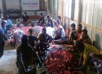 Islam Freedom Qurbani 2016