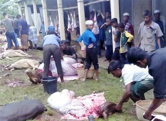 Islam Freedom Qurbani