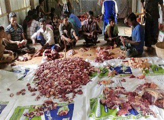 Islam Freedom Qurbani