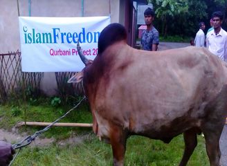 Islam Freedom Qurbani 2016